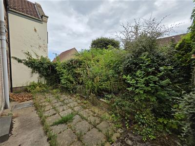Picture 20